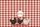 Red Gingham Three Speckled Chickens - Country Living Chicken Lover Gift for Farmers Quilted Tote Bag - 7