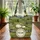 Personalized Sheep Meadow Barn Farm Lover Everyday Carry Gift Quilted Tote Bag - 3