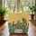 Desert Cactus Sand Dune Personalized Plaque - Everyday Carry Gift for Cactus Lover Quilted Tote Bag - 3