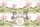 British Shorthair Kittens Spring Blossoms Floral Wreath - Everyday Carry Gift Quilted Tote Bag - 7