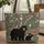Adult Cub Black Bears Pinecone Maple Leaf - Wildlife Lover Everyday Carry Gift Quilted Tote Bag - 1