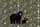 Adult Cub Black Bears Pinecone Maple Leaf - Wildlife Lover Everyday Carry Gift Quilted Tote Bag - 7