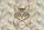Majestic Cat Bust Hoop Frame Name - Everyday Carry Gift for Cat Lover Quilted Tote Bag - 7