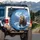 Grizzly Bear Winter Mountain Icy River - Wildlife Lover Outdoor Adventure Gift Spare Tire Cover - 3