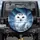 Snowy Owl Face Arctic Twilight Aurora - Wildlife Lover Gift Spare Tire Cover - 1