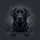 Black Labrador Dog Amber Eyes Front Paws Charcoal Grey - Dog Lover Gift Spare Tire Cover - 6