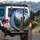 Mother Bear Cubs Climbing Pine Tree Mountains - Wildlife Lover Gift Spare Tire Cover - 3