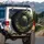 Grizzly Bear Mossy Cave Ancient Forest Wilderness Lush Greenery - Wildlife Lover Gift Spare Tire Cover - 3