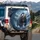 Grizzly Bear Roaring Pine Forest Snow Mountain Peaks - Wildlife Lover Gift Spare Tire Cover - 3