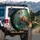 Brown Bears Cub Macaws Tropical Jungle Forest Water Scene - Outdoor Adventure Lover Gift Spare Tire Cover - 3