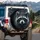 Piercing Eyes Raccoon Face Nocturnal Forest - Wildlife Lover Gift Spare Tire Cover - 3