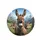 Friendly Donkey Mountain Meadow Scenic Road - Nature Lover Outdoor Gift Spare Tire Cover - 4