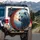 Grizzly Bear Twilight Forest Autumn Leaves - Outdoor Adventure Gift Spare Tire Cover - 3