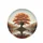 Fiery Orange Autumn Tree Gnarled Roots Misty Hills Still Water - Nature Lover Gift Spare Tire Cover - 4