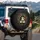 Calico Cat Cracked Surface Golden Light - Everyday Cat Lover Gift Spare Tire Cover - 3