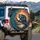 Mystical Raccoon Gnarled Branch Sunset Marsh Enchanted Forest - Wildlife Lover Gift Spare Tire Cover - 3