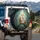 Barn Owl Family Mystical Forest - Wildlife Lover Gift for Owl Lover Spare Tire Cover - 3