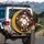 White Daisy Flowers Botanical Leaves Floral - Garden Lover Car Decor Gift Spare Tire Cover - 3