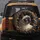 Regal Siamese Cat Gold Frame Sapphire Jewels - Luxury Car Accessory Cat Lover Gift Spare Tire Cover - 5