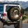 Regal Siamese Cat Gold Frame Sapphire Jewels - Luxury Car Accessory Cat Lover Gift Spare Tire Cover - 3