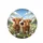 Highland Calves Wildflower Meadow - Farmhouse Decor Gift for Cow Lover Spare Tire Cover - 4
