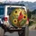 Northern Cardinal Sunflowers - Wildlife Lover Car Decor Bird Watcher Gift Spare Tire Cover - 3