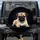 Fawn Pug Puppy Black Mask Deep Black Background - Pug Lover Car Decor Gift Spare Tire Cover - 1