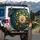 White Dahlia Orange Center Daisy Flowers Green Leaves - Botanical Decor Gift Spare Tire Cover - 3