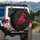 Crimson Bird Golden Chain Ruby Pendant Dark Foliage - Luxury Car Decor Gift for Bird Lovers Spare Tire Cover - 3