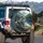 Majestic Gray Wolf Pine Forest Alpine Lake Mountain Peaks Landscape - Wildlife Lover Gift Spare Tire Cover - 3