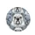 Multiple English Bulldog Faces for Bulldog Lover - Rugged Auto Vehicle Accessory Gift Spare Tire Cover - 4