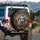 Fantasy Dragon Sleeping Cat Library Bookshelf Evergreen Holly - Fantasy Lover Car Decor Gift Spare Tire Cover - 3
