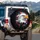 Golden Beak Bald Eagle USA Flag Patriotic Decor - Independence Day Gift for Dad Spare Tire Cover - 3