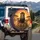African Lion Family Vibrant Sunset Savanna Landscape - Wildlife Lover Gift Spare Tire Cover - 3