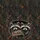 Raccoons Tree Hollow Rustic Sign - Wildlife Lover Everyday Carry Gift Quilted Tote Bag - 7