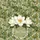 Personalized White Magnolia Blooms Botanical Leaf Garland - Everyday Carry Gift Quilted Tote Bag - 7