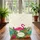 Pink Flamingo Tropical Foliage Hibiscus Personalized Name - Travel Essentials Gift Quilted Tote Bag - 3