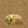 Vintage Camper Van Pine Sunflowers Autumn Leaves Acorns Wooden Sign - Travel Gift Quilted Tote Bag - 7