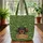 Dachshund Dog Clover Vines Personalized - Everyday Carry Gift for Dog Lover Quilted Tote Bag - 3