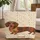 Dachshund Dog Autumn Leaves Floral Wreath - Fall Season Everyday Carry Gift for Dog Lovers Quilted Tote Bag - 1