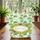 Tropical Hibiscus Palm Monstera Sun Medallion - Everyday Carry & Travel Gift Quilted Tote Bag - 3