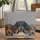 Three Dachshunds Sable Black Tan Dapple Houndstooth Everyday Carry Gift for Dachshund Lover Quilted Tote Bag - 1