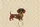 Dachshund Botanical Sprigs Floral Wreath - Everyday Carry Gift for Dog Lovers Quilted Tote Bag - 7