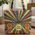 Radiant Giraffe Stained Glass - Wildlife Lover Everyday Carry Gift Quilted Tote Bag - 1