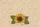 Sunflower Autumn Foliage Wildflower - Farmhouse Decor Travel Essentials Quilted Tote Bag - 7