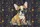 French Bulldog Puppy Patchwork Floral Appliqué - Everyday Carry Dog Lover Gift Quilted Tote Bag - 7