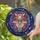 Ornate Jeweled Fox Head Crescent Moon Gem Celestial - Wildlife Lover Home Decor Gift Stained Glass Suncatcher - 2