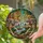 Majestic Wolves Baring Fangs Rock Landscape - Wildlife Lover Home Decor Gift Stained Glass Suncatcher - 2