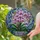Phalaenopsis Orchid Flowers Mosaic Stained Glass - Home Decor Gift Orchid Lover Stained Glass Suncatcher - 2