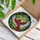 Red Cardinal Bird Flying Forest Berry Jewels - Wildlife Lover Home Decor Gift Stained Glass Suncatcher - 3